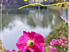 -香蜜公园