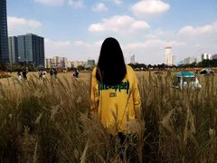 -映月湖中央公园