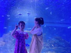 -常州海昌海洋探索馆