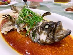 老虎斑-君德澜酒家·创意粤菜(金山谷店)