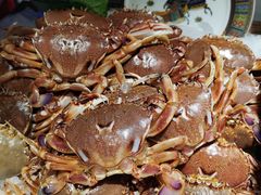 -加餐海鲜自助(宝龙一城店)