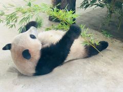 -杭州动物园