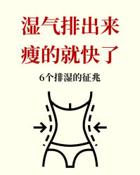 -Fundi张玉珊修身堂·indiba·BTL科技瘦身