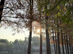 -东莞市可园博物馆