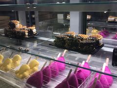 -野人先生现做冰淇淋(西安赛格店)