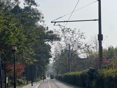 -安仁古镇