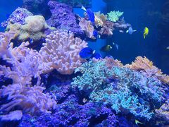 -上海海昌海洋公园