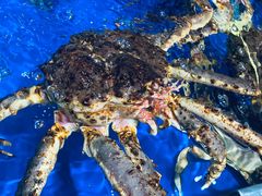 -盒马鲜生(顺义店)