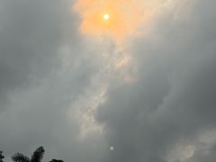 -金山植物公园