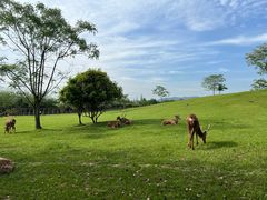 -良渚古城遗址公园