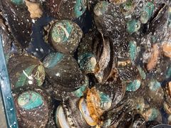 -丰卓会海鲜自助(中润大道店)