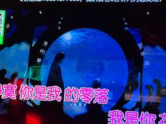 -五月花(朝阳南大街店)