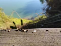 -孔雀湖生态旅游区