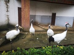 -南昌动物园