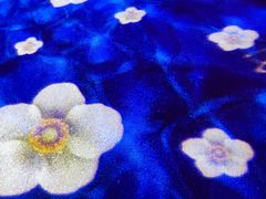 -花博汇(知音花月夜)