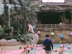 -杭州开元森泊度假乐园