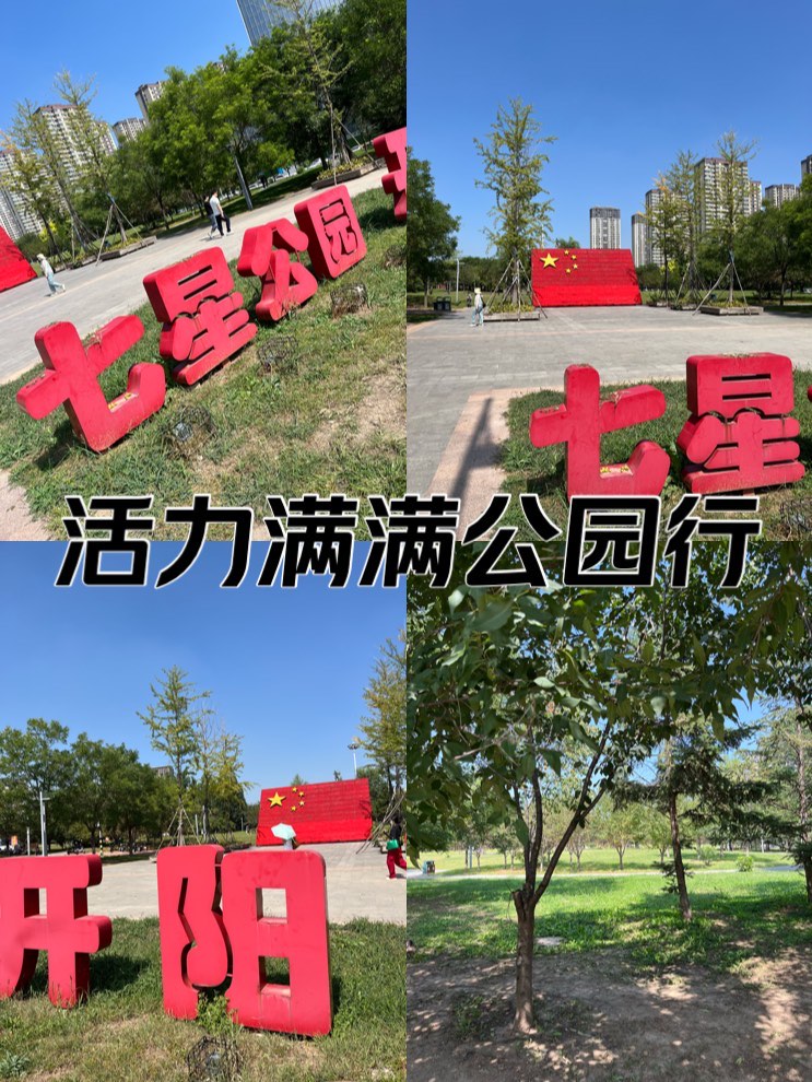 沈阳七星公园开阳园图片