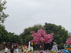 -南湖梦幻岛