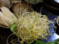 豆芽-肥龙火锅(南坪店)