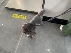 -贝利宠物医院·骨科·眼科·肿瘤转诊中心(南坪诊疗中心)