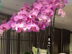 -花锦堂·隐庐