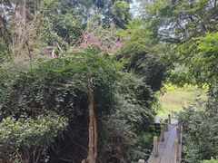 -深圳国际园林花卉博览园