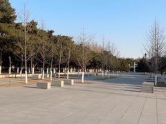 -北陵公园