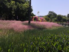 -映月湖公园