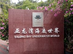 -亚龙湾海底世界
