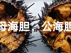 -毕家疃综合市场