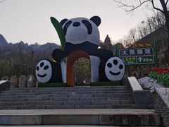 -栾川竹海野生动物园