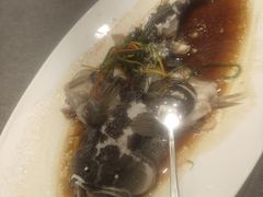 -海景壹号大酒店(滨湖店)