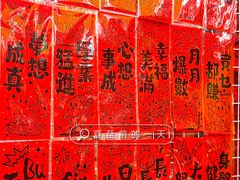 -越秀西湖花市(广州城市广场花卉店)