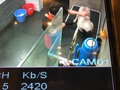 -八公叔叔宠物美容连锁(春申店)