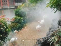 -广东圆玄道观