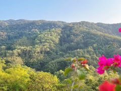 -广州市帽峰山景区