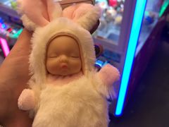 -PAWTOY爪e玩偶店(天兴罗斯福店)