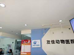 -瑞派·关忠动物医院·异宠专科·犬猫肿瘤·皮肤专科(望京店)