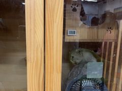 -艺味深尝(云锦路店)