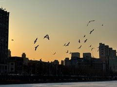 -天津之眼摩天轮