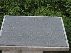 -原山国家森林公园