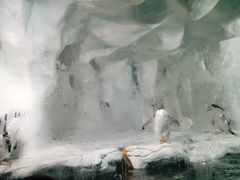 -南昌海洋公园