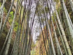 -崀山风景名胜区