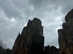 -海南热带野生动植物园