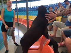 -尼莫海豚馆