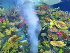 -成都浩海立方海洋公园