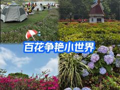 -东莞植物园