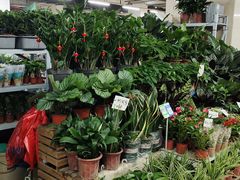 -无锡文化工艺品市场(槐古路店)