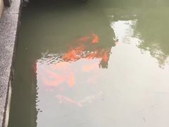 -昭明书院
