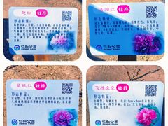 -仁和公园(顺义区)